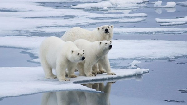 Mudanças Climáticas: Respire fundo e prenda a respiração