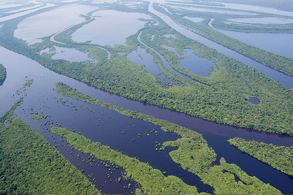 “Amazônia e Clima, nossa prioridade”, diz Samyra Crespo
