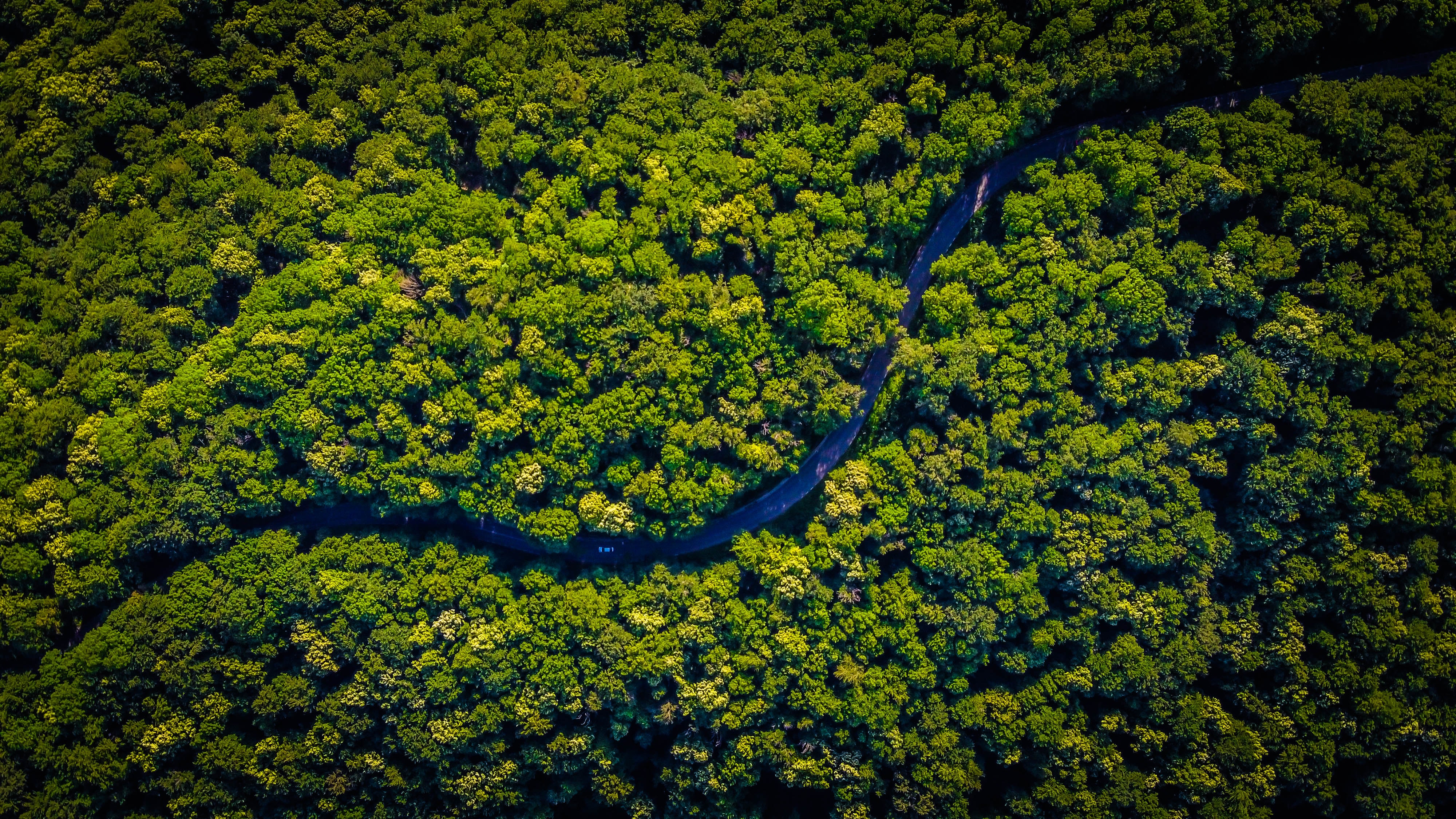 Fundo Amazônia: Reino Unido anuncia R$ 500 milhões para fins de preservação ambiental